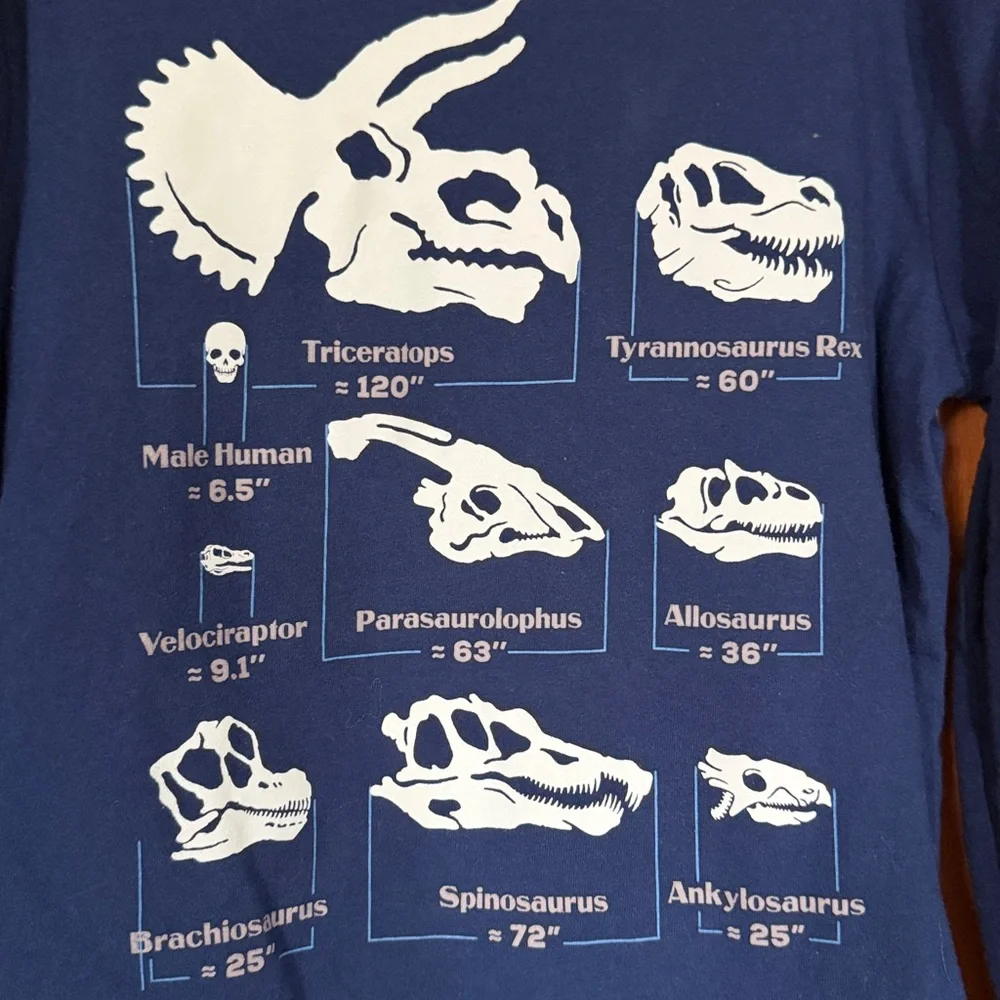 Gap long sleeve blue Dinosaur glow in dark shirt and Jurassic Park light hoodie